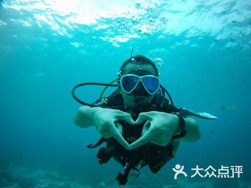 芭比的电影灵感