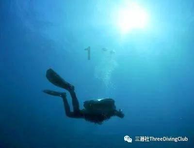 蝴蝶领结